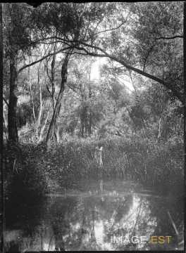 Aimée Michels au bord d'un étang (Bouxières-aux-Chênes)